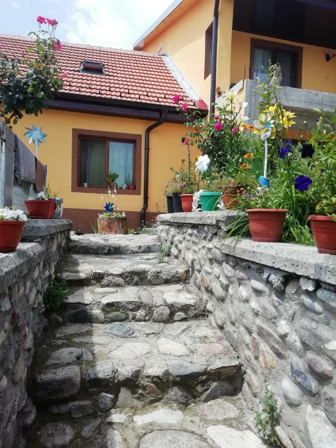 Casa Darius Apartment Orşova Exterior foto
