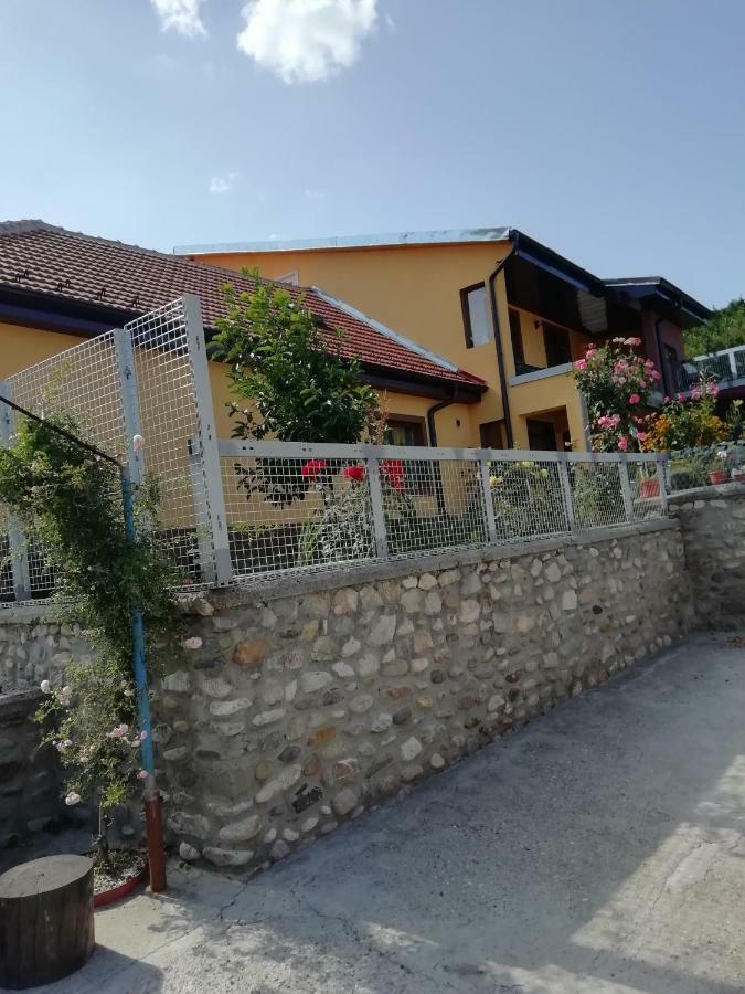 Casa Darius Apartment Orşova Exterior foto